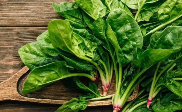 NATURAL SPINACH LEAVES FIBER BOOST CLEAN LABEL REAL WHOLE FOODS - Image 2