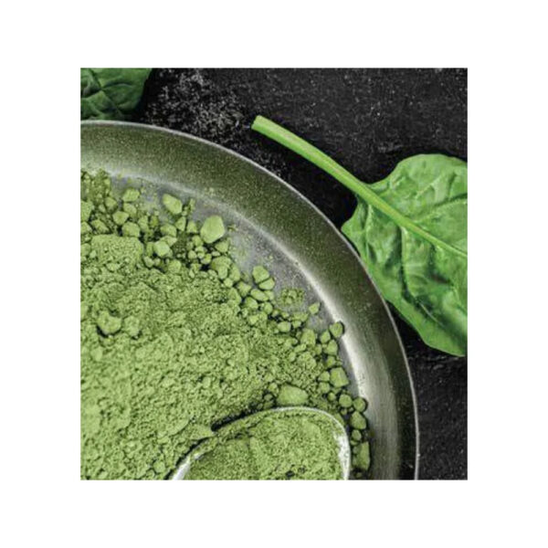Super Quality Latest Brand New Product Natural Green Vegetable Spinach Powder Available at Affordable Price - Image 2