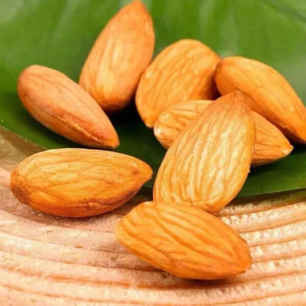 Cheap Almond Nuts Almond Kernel Almond Wholesale Price - Image 2