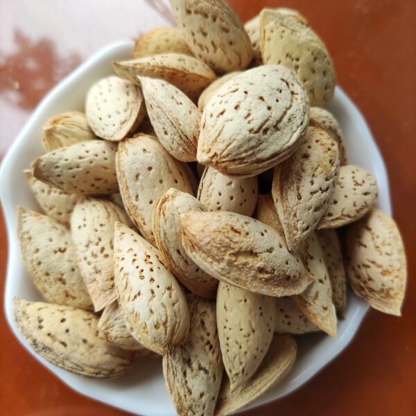 Whole Raw Almond with Shell Uncracked - Image 4