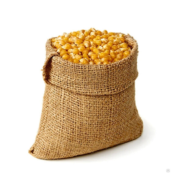 Yellow and White Maize Dried Yellow Corn Popcorn White Corn Maize White Maize Corn (NON GMO) for Human Consumption - Image 3