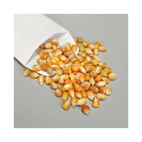Pure Organic Clean Dried Yellow Corn Dried Yellow Maize Bulk dried white corn and yellow corn Available - Image 3