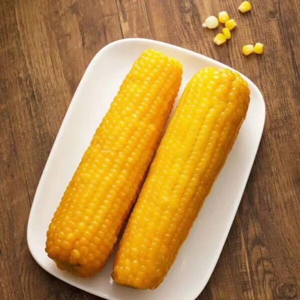 Direct Wholesale Good Quality Frozen Yellow Corn on Cob Fresh Sweet Corn-IQF Processed - Image 3