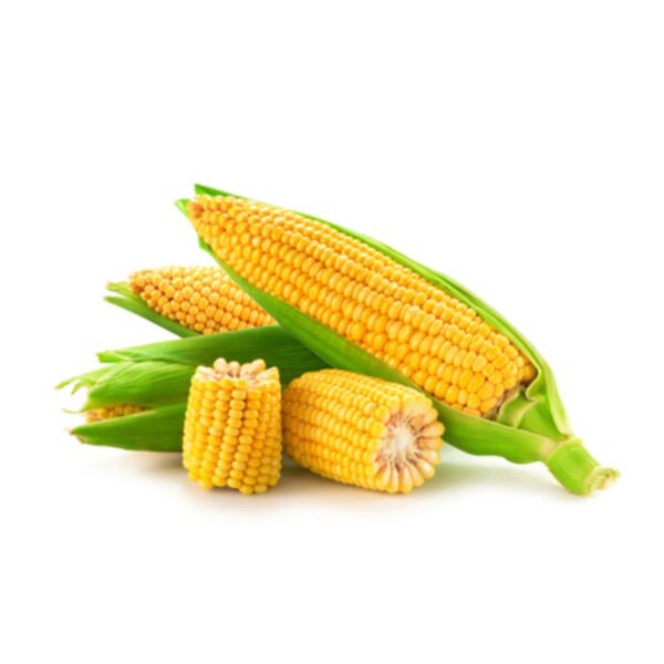 Cheap Wholesale Brazil Yellow Corn for Animal Feed Non Gmo Certified Brazil Yellow Corn Dried Corn Price in Kenya - Image 3