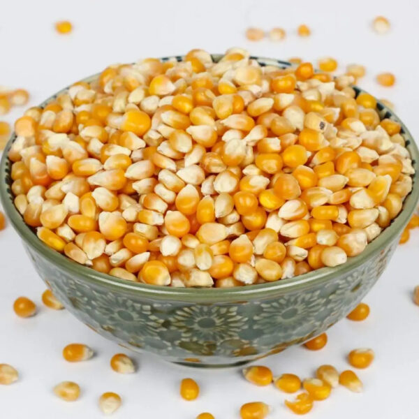 Wholesale Yellow Corn for Human Consumption Non Gmo Yellow Corn Yellow Corn for Animal Feed Available - Image 3