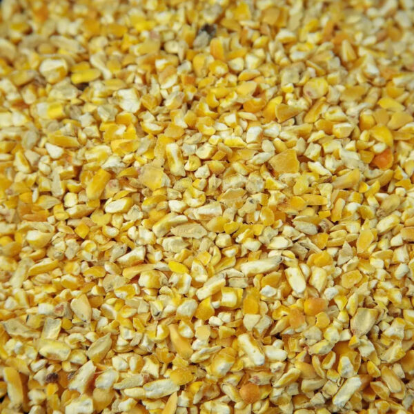 High Quality Organic Yellow Corn in Bulk Dried Style for Animal Feed and Agriculture Competitive Prices - Image 3
