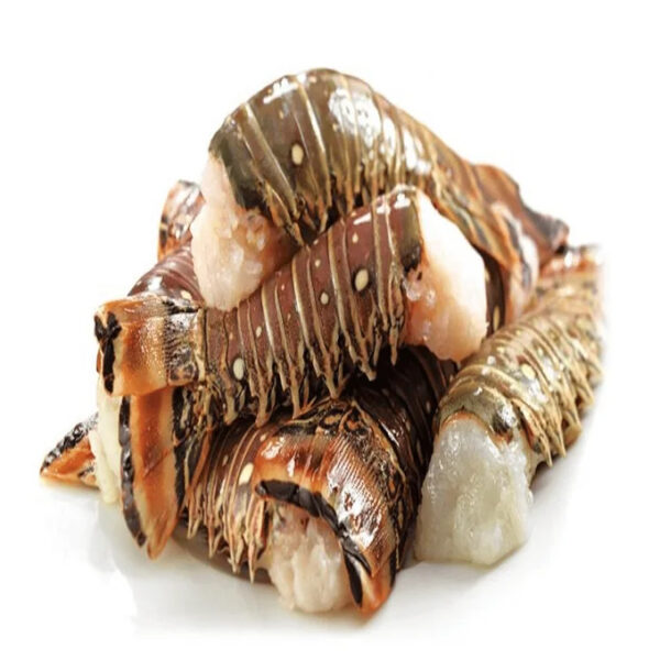 Live Maine Lobster Direct Overnight & Express Shipping Fresh and Frozen European Lobster with Whole Tail in Box Packaging - Image 3