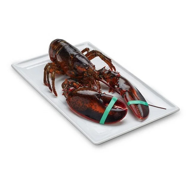 Fresh American Lobsters and Red King Crab Ready for Export Frozen Style for Food Variety - Image 3