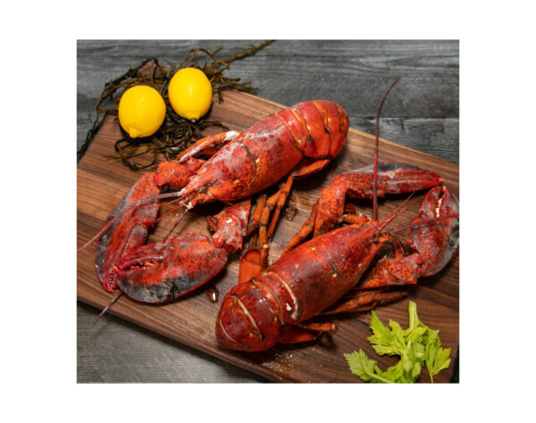 Best Grade Live Lobster and Crayfish Available at Low Market Price Hot Sales Frozen Lobster with Highest Export Live Lobsters Q - Image 3