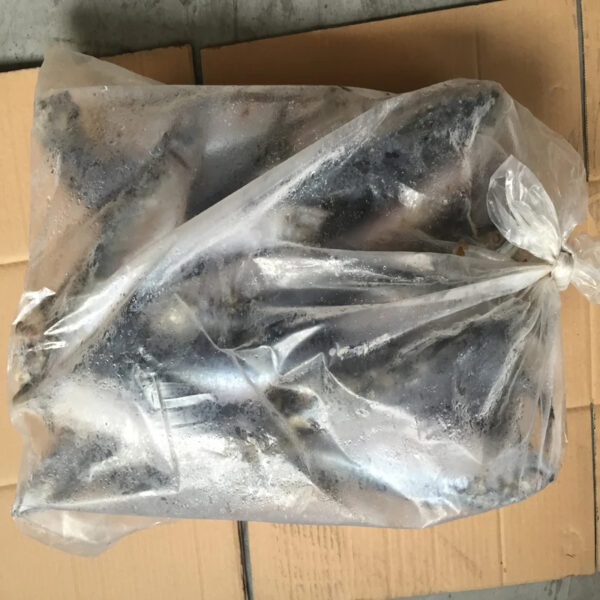 Best Seller High Quality Frozen Seafood Fish 300-500g Pacific Fresh Ship Frozen Mackerel Raw Material Block in Stock - Image 3