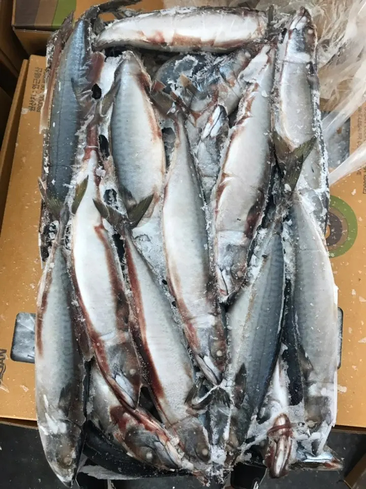 FROZEN PACIFIC MACKEREL W/R - Image 3