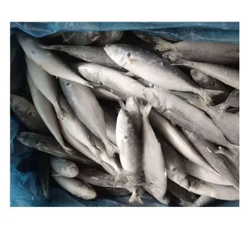 Frozen Pacific Mackerel and Mackerel Fish High Quality Wholesale Frozen Saba Mackerel Fish for Sale - Image 3