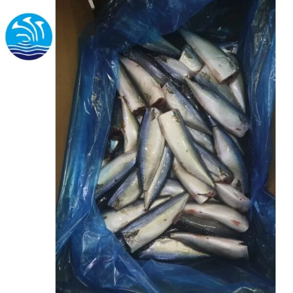 Best Price Good Quality Seafrozen 100-200g Mackerel HGT Fish - Image 3
