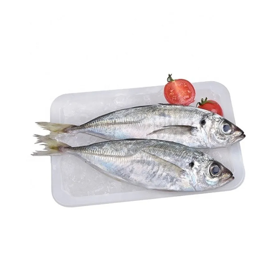 Land Frozen Mackerel Fish Sea Frozen Pacific Mackerel Fish Prices Whole Round - Image 3