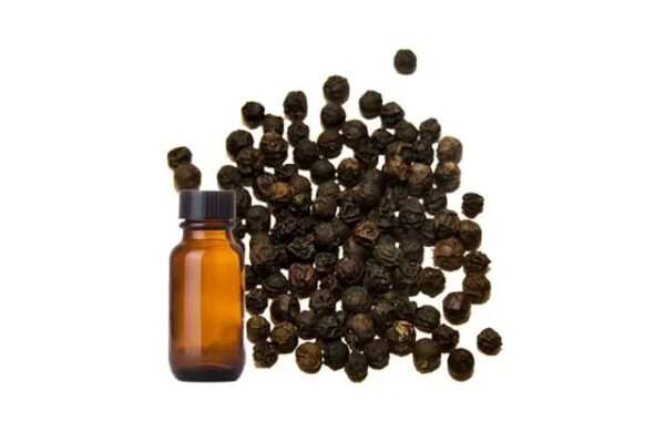 Top Quality Piper Nigrum Black Pepper for the Treatment of Fever Dysentery from Indian Supplier Piper Nigrum Black Pepper - Image 3