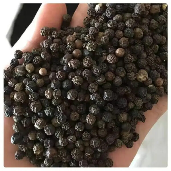 Premium Quality Organic Black Pepper with Great Aromatic Flavour and Delicious Taste for Wholesale Suppliers - Image 3