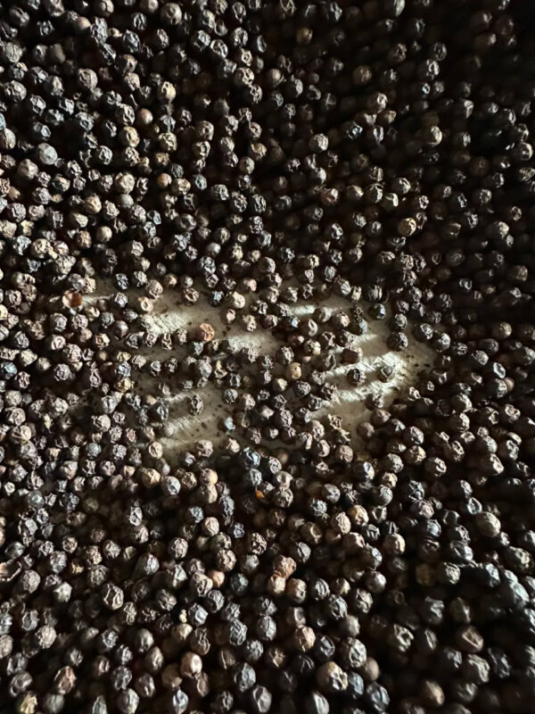Hot Black Pepper 500 G/L /550 G/L for Exporting High Quality Good Rates for All Country in the World - Image 3