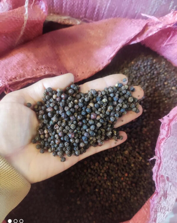Black Pepper Exporters Vietnam - Image 5