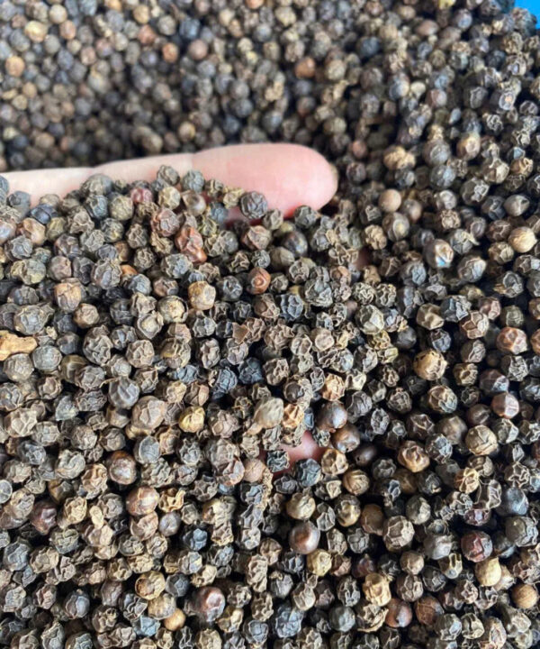 High Quality Vietnam Black Pepper Herb Fresh Spicy Taste Dried Whole Form Spiciness for Cooking Fried Pepperl Black Peppercorn - Image 3