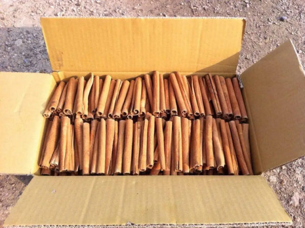 Wholesale Best Price Natural Spices Cassia Cinnamon - Image 3