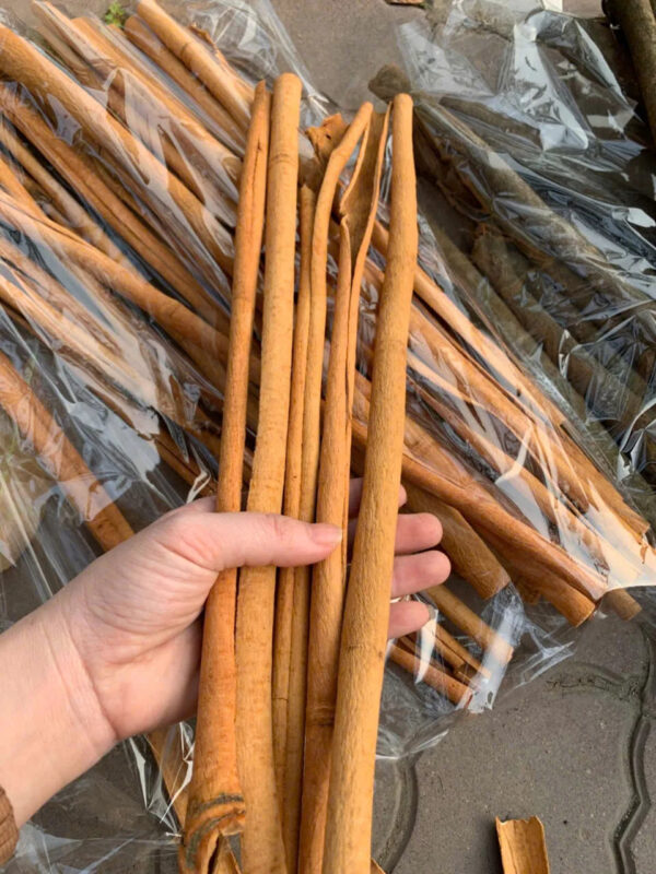 Cheap cinnamon Exporting high quality Vietnamese agricultural products - Image 3