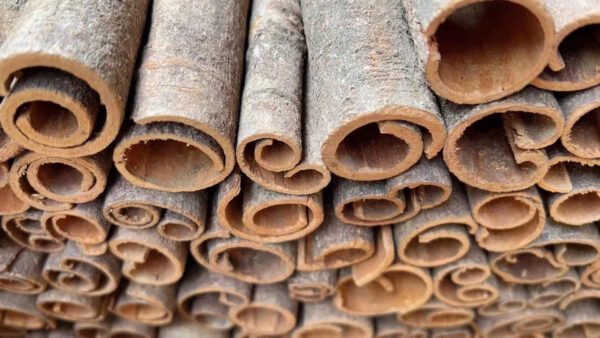 Supply Herb Single Spices Cinnamon Sticks 100% Cinnamon - Image 3