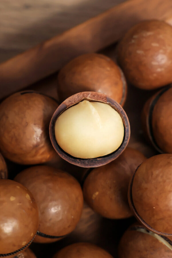 Good Supplier Dried Macadamia Nuts - Image 3