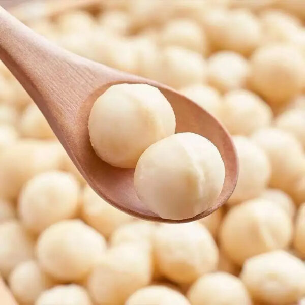 Macadamia Dried Nuts Macadamia Nut - Image 4
