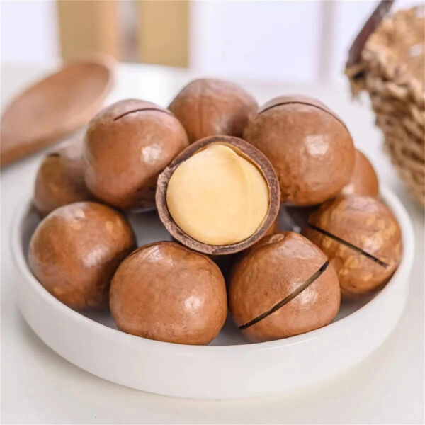 Hot Selling High Quality Cheap Price Roasted Macadamia Nuts From Kenya - Image 3
