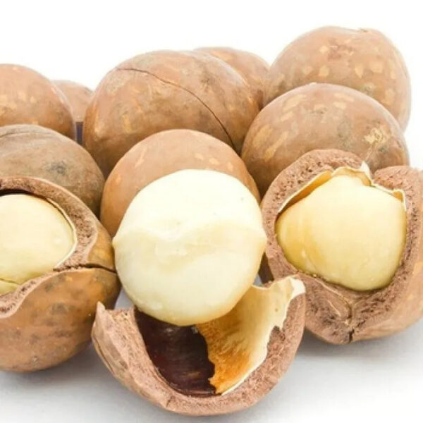SUPER Best-selling Kenya Rich Nutrition Various Size Roasted Macadamia Nuts for Sale Raw Organic Macadamia Nuts Shell Nut - Image 3