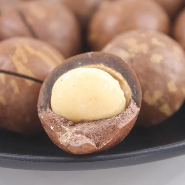 Hot Selling Good Quality Macadamia Nut for Sale - Image 3