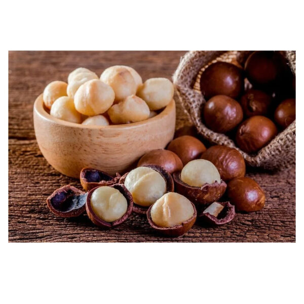 Organic Roasted Macadamia Nuts Factory Price Wholesale Raw Dried Food Macadamia Nuts - Image 3