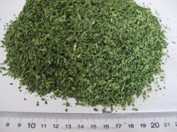 Factory Supply Natural Dehydrated Spinach Powder Raw Processed Dried Extract from Fresh Spinach - Image 3