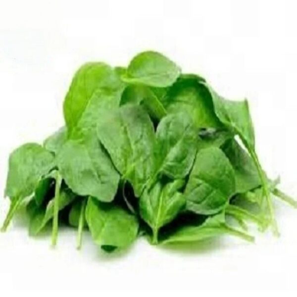 Malabar Spinach Vegetables (Global GAP) - Image 2