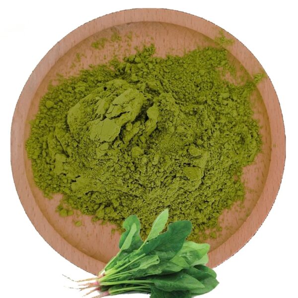 Factory Supply Best Quality Dry Spinach Powder Spinach Extract Powder - Image 3