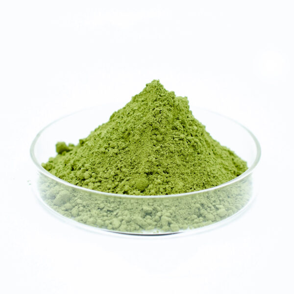 Bulk Spinach Freeze-Dried Powder - Image 3