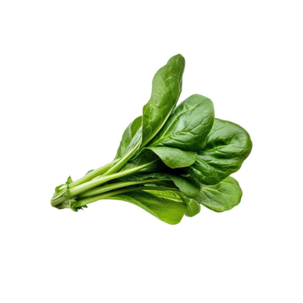 Factory Supply Spinach Juice Powder Spray Dried Spinach Powder - Image 3