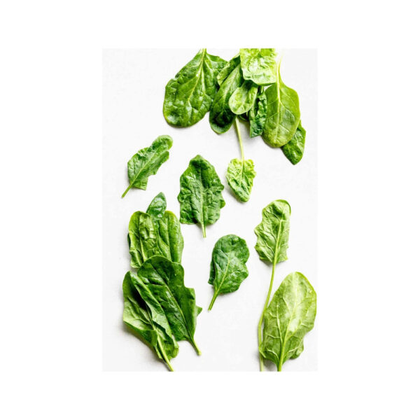Fresh Malabar Spinach  Fresh Vegetable From SA Fast Delivery and Carefully Pure Natural Organic Spinach - Image 3