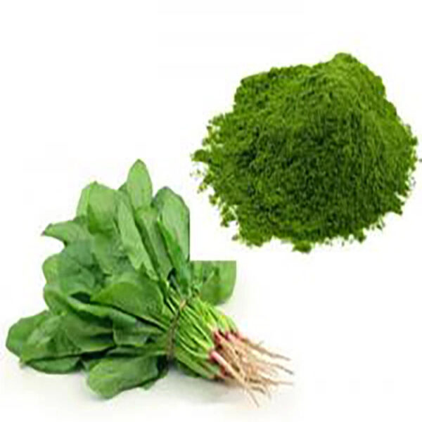 High Quality Spinach Vegetable Powder Organic air Dried Spinach Powder - Image 3