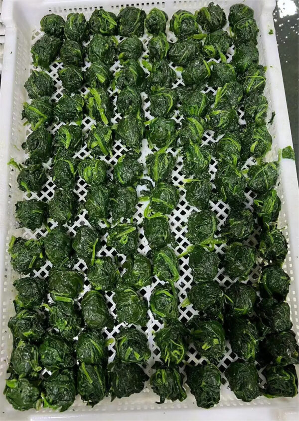 Origin Kenya New Crop Wholesales Frozen IQF Fresh Frozen Spinach Leaves Balls From China Leafs Cuts 3-5cm 1cm Cubes Dices - Image 4