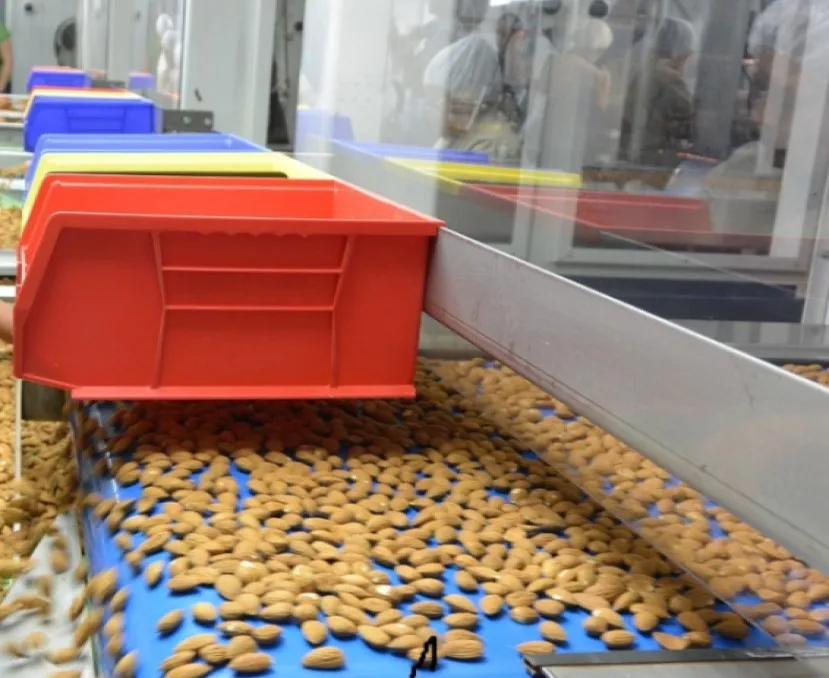 Top Grade Almond Nuts Organic Almond Nuts - Image 4