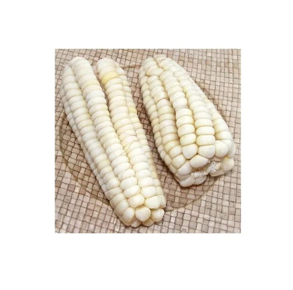 Wholesale Fresh Yellow Corn White Corn Bulk Dried Corn - Image 4