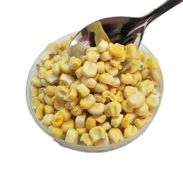 Best Flavour Kenya Freeze Sweet Corn Yellow Color - Image 4
