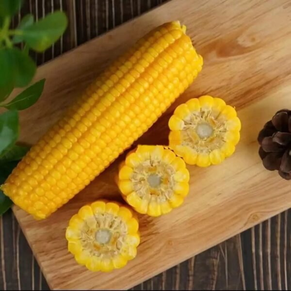 Direct Wholesale Good Quality Frozen Yellow Corn on Cob Fresh Sweet Corn-IQF Processed - Image 4