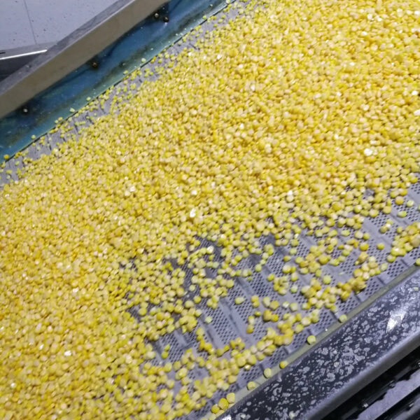 HACCP Kenyan Frozen Products Good Price Hot Sale IQF Frozen Yellow Sweet Corn - Image 4