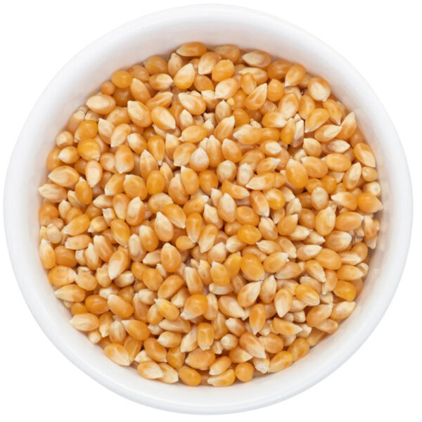 Wholesale Premium Quality GMO Yellow Corn Dried Fresh for Human Consumption Best Market Price Bulk Order Now - Image 4