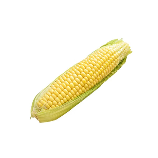 Dried Yellow Sweet Yellow Corn Yellow Maize Discount Sale Canned Sweet Corn Canned Yellow Sweet Corn - Image 3