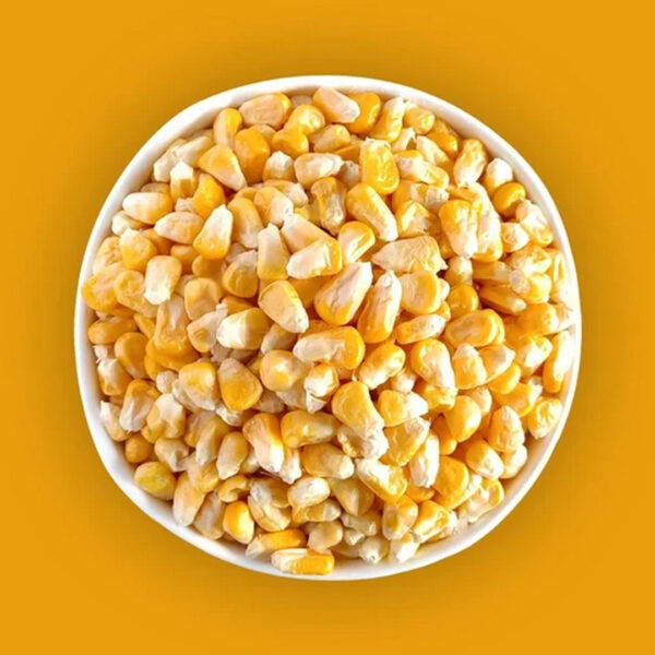 Direct Factory Price Yellow Corn for Sale - Image 4
