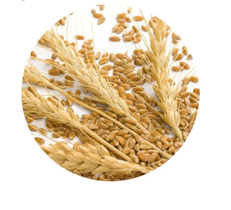 High Quality Vital Wheat Gluten 25kg Flour Hot Sale - Image 4