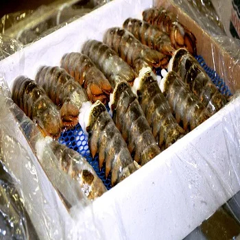 Buy Export Products Canadian Lobster Wholesale Prices Shrimps Seafood Green Raw Frozen Pink Lobsters - Image 4